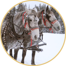 SLEIGH RIDE PHOTOS