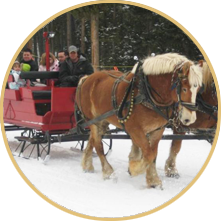 Breckenridge Golf Club Sleigh Rides